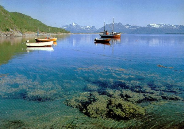 Fischerboote, Fjorde, Berge und klares Wasser, das ist Norwegen Vorderseite