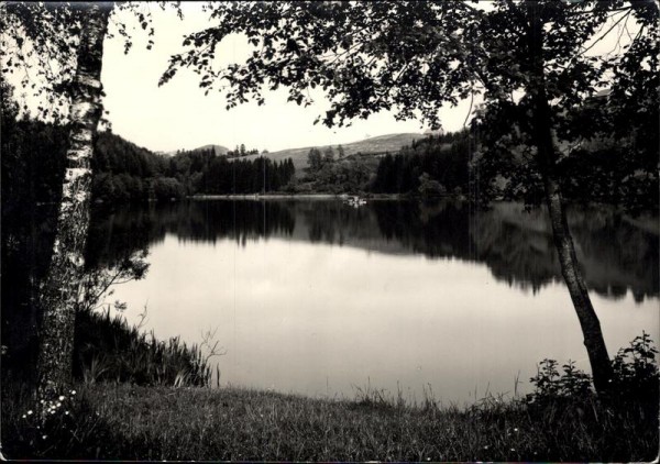 Gübsen-See Vorderseite