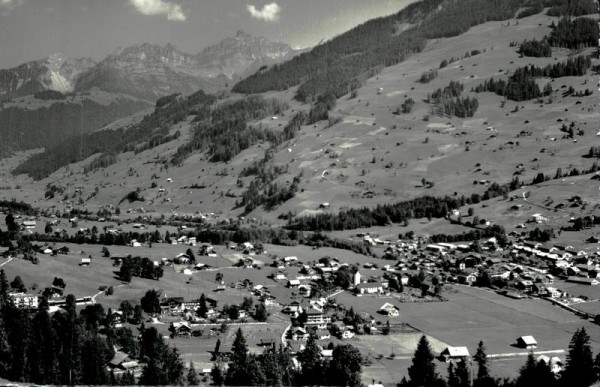 Lenk mit Spillgerten Vorderseite