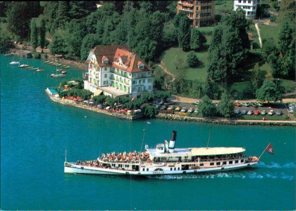 Weggis, Hotel Central am See, Flugaufnahme Vorderseite