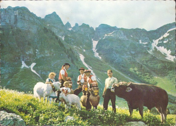 Auf der Säntisalp im Alpstein