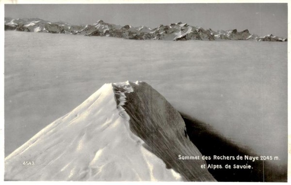 Sommet des Rochers de Naye et Alpes de Savoie Vorderseite