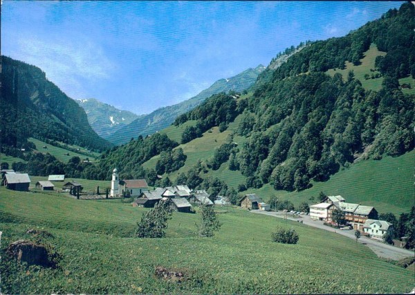 Weisstannen Vorderseite