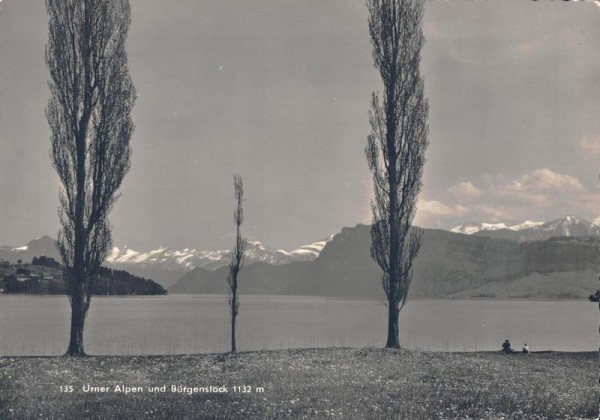 Urner Alpen und Bürgerstock Vorderseite