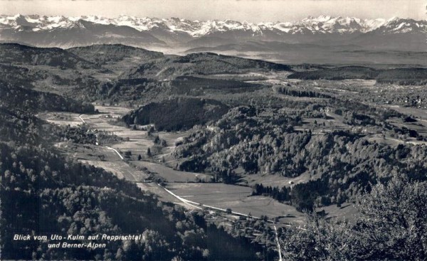 Blick vom Uto-Kulm auf Reppischtal und Berneralpen Vorderseite