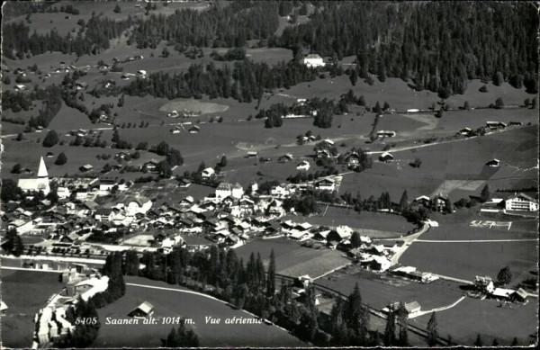 Saanen
 Vorderseite