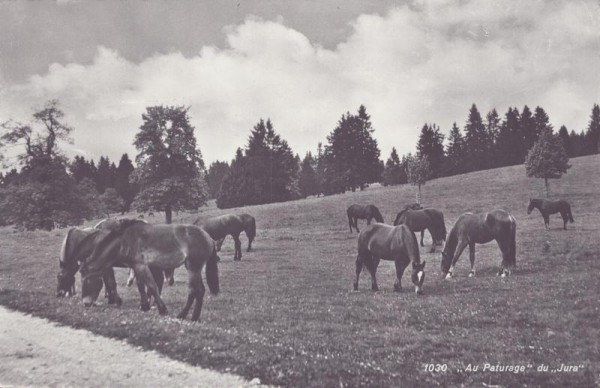 Au Pâturage du Jura Vorderseite