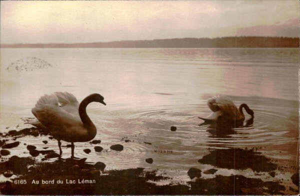 Au bord du Lac Léman Vorderseite