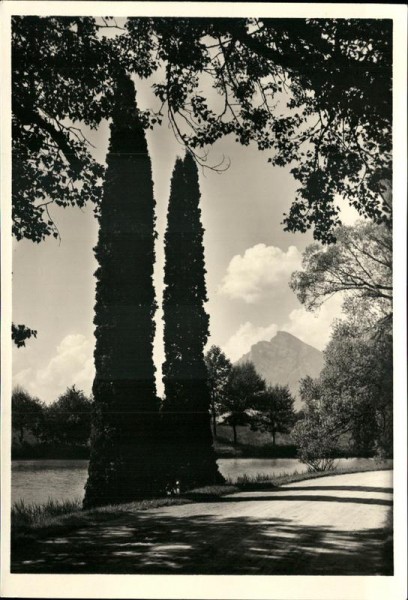 Bad Ragaz - Giessenparksee Vorderseite