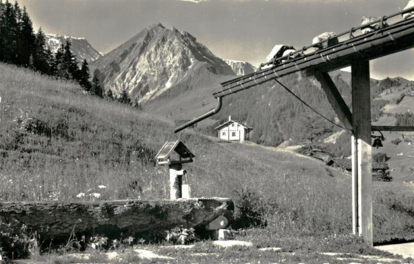 Adelboden, Chalet International des Eclaireuses Vorderseite