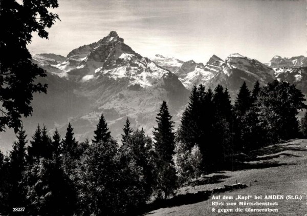 Auf dem Kapf bei Amden (St.G.). Blick zum Mürtschenstock & gegen die Glarneralpen Vorderseite