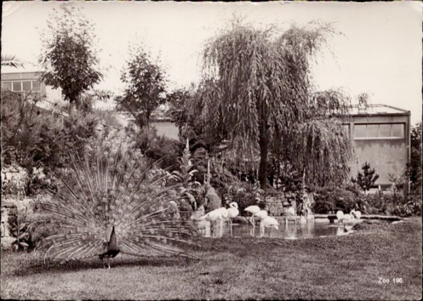 Zoologischer Garten Zürich - Eingangspartie