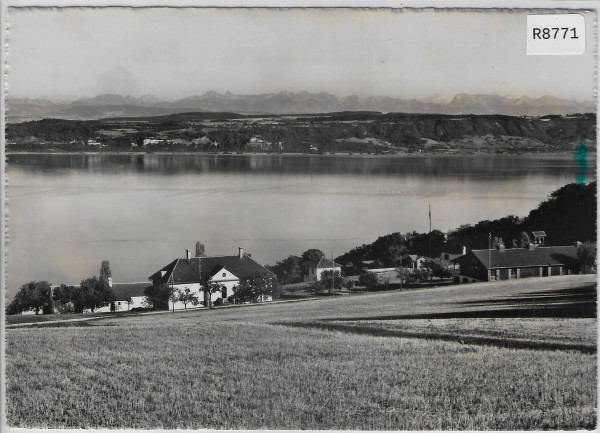 Camp de Vaumarcus - Rive sud du Lac - Alpes