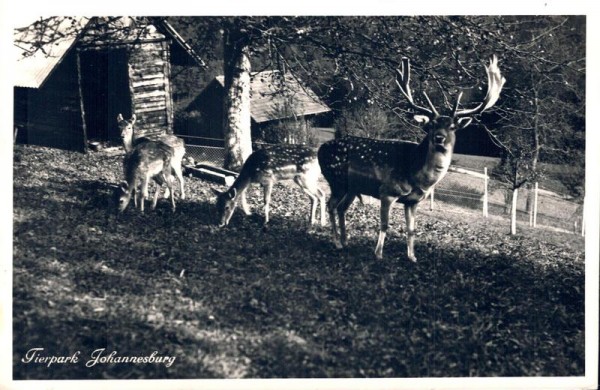 Restaurant  und Kurhaus, Waldhaus-Tierpark Johannesburg, Küssnacht am Rigi, seit 1969 geschlossen Vorderseite