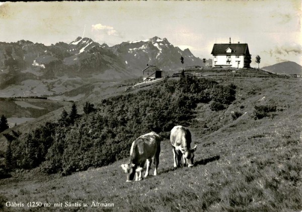 Gäbris mit Säntis und Altmann Vorderseite