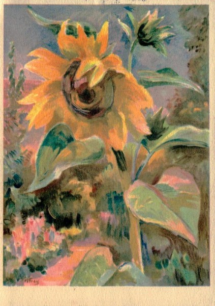 Frey Margherita, Sonnenblumen Vorderseite