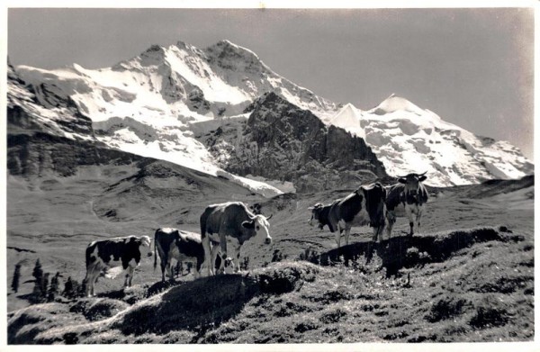 Kleine Scheidegg. Jungfrau Vorderseite