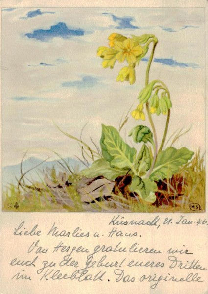 Schlüsselblumen Vorderseite