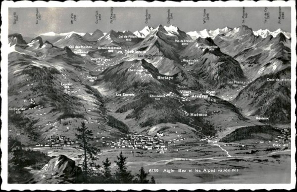 Aigle Vorderseite