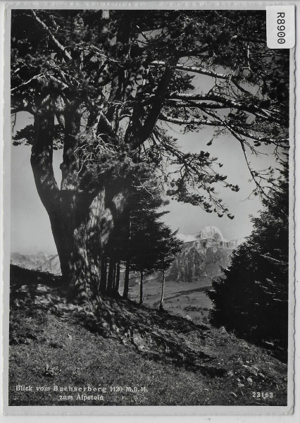 Blick vom Buchserberg zum Alpstein