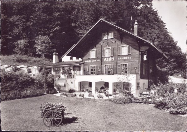 Waldhaus Chalet Saalhöhe