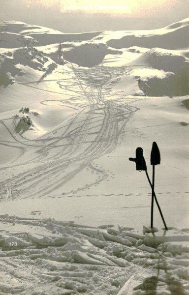 Abfahrt nach Ober Molseralp Vorderseite