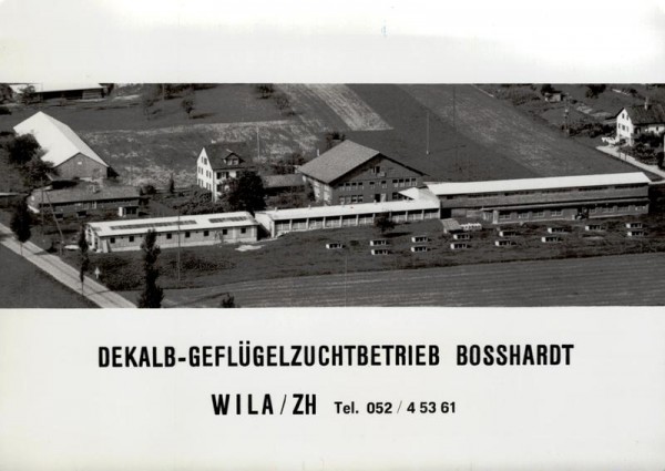 Wila, DEKALB-Geflügelzuchtbetrieb Bosshard Vorderseite