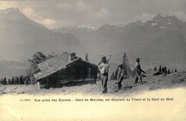 Dent de Morcles, Les Glacier du Trient et la Dent du Midi Vorderseite