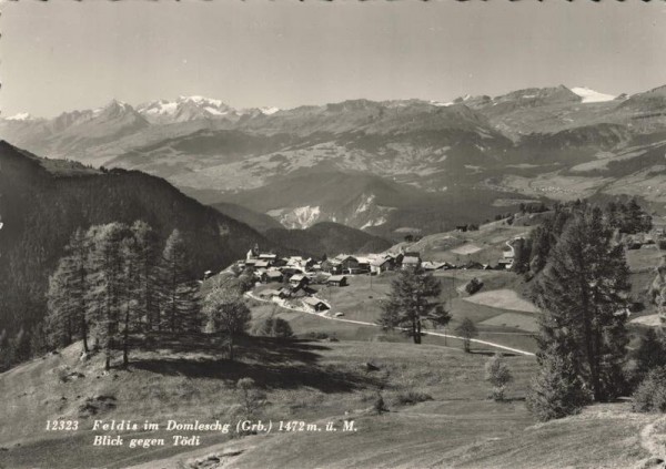 Feldis im Domleschg. Blick gegen Tödi Vorderseite