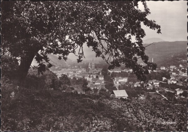 Munster, Echappèe sur la Ville