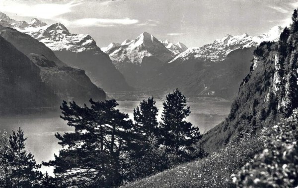 Vierwaldstättersee mit Bristenstock Vorderseite