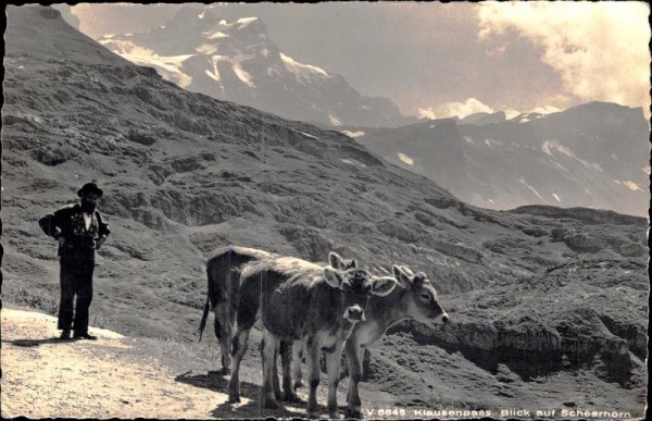 Klausenpass. Blick auf Seehorn Vorderseite