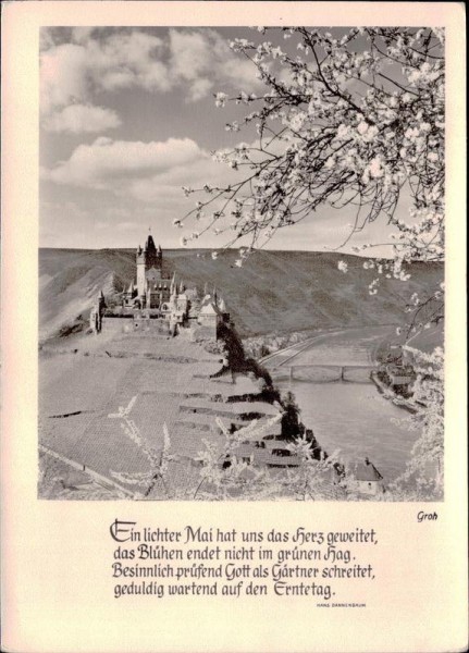 Ein lichter Mai... Hans Dannenbaum, Fotokunst Groh München Vorderseite