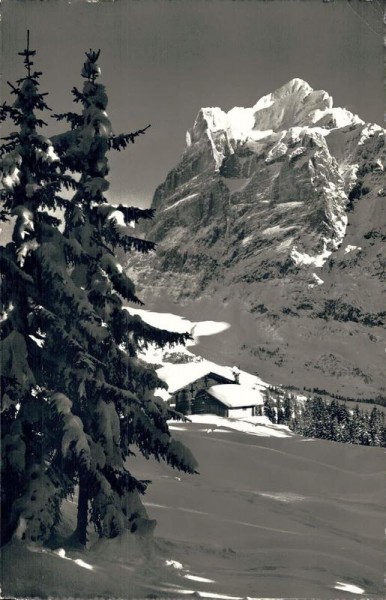 Kl. Scheidegg mit Grindelwald.  Vorderseite