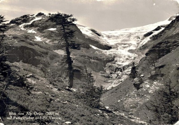 Blick von Alp Grüm auf Palügletscher und Piz Verona Vorderseite