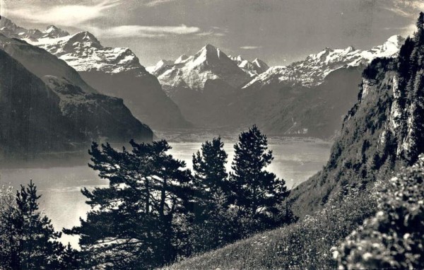 Vierwaldstättersee mit Bristenstock Vorderseite