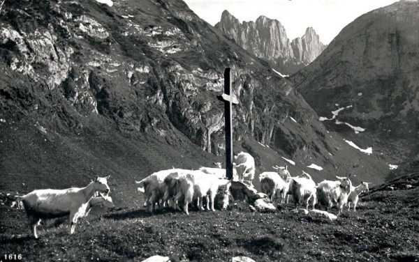 Kreuzberge Alpstein Vorderseite