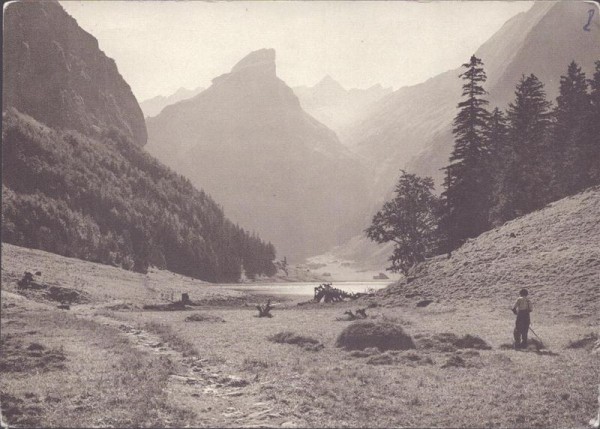 Seealp mit Säntis Vorderseite