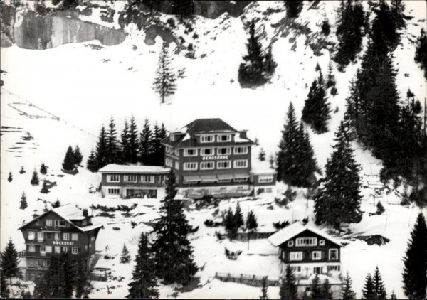 Rigi-Kaltbad, Hotel Bergsonne, Flugaufnahme Vorderseite