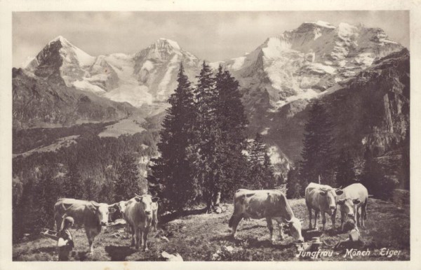 Jungfrau - Mönch - Eiger