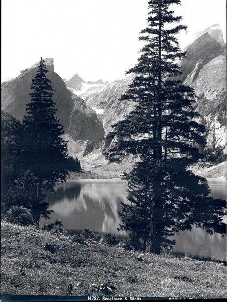 Seealpsee & Säntis Vorderseite