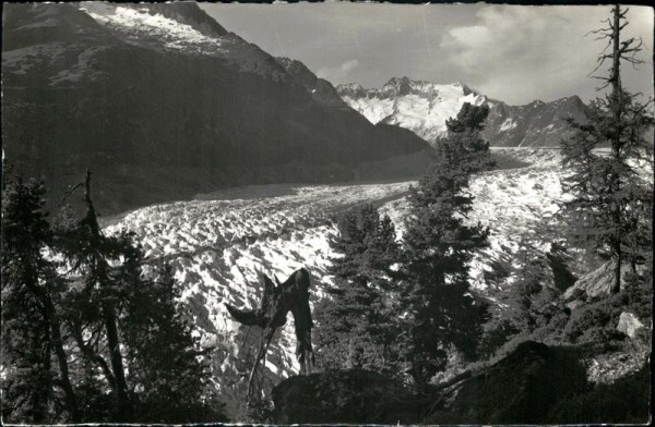 Aletschgletscher Vorderseite