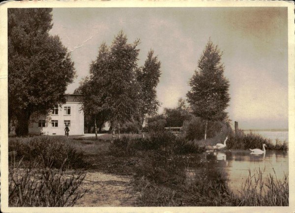 Altenrhein Vorderseite