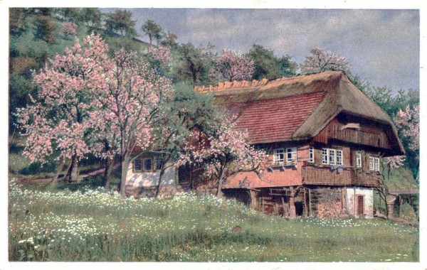 Haus auf Wiese Vorderseite