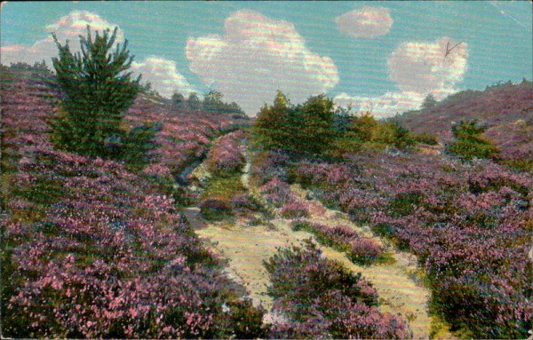 Lürnburger Heide Vorderseite