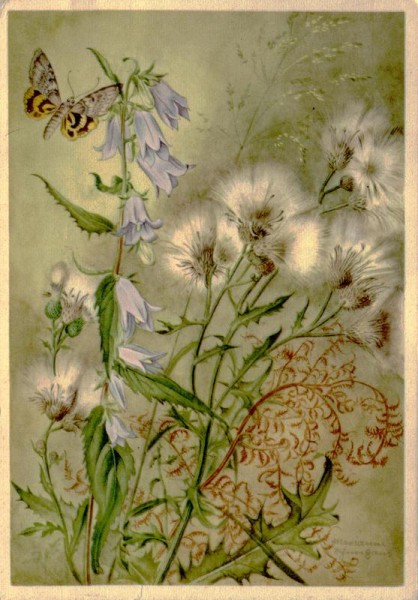 Waldleben Vorderseite