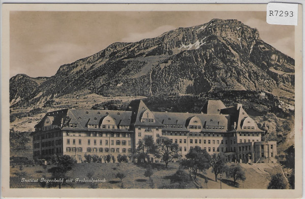 Institut Ingenbohl mit Frohnalpstock