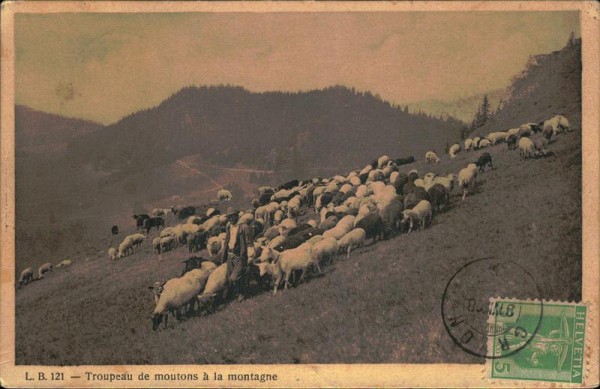 Troupeau de moutons à la montagne Vorderseite