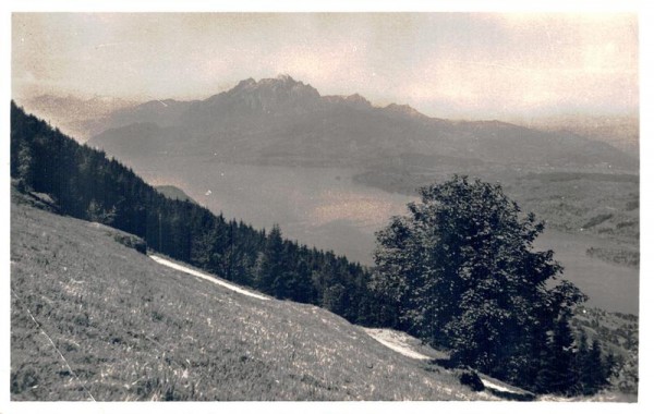 Ausblick von Rigi-Seebodenalp Vorderseite