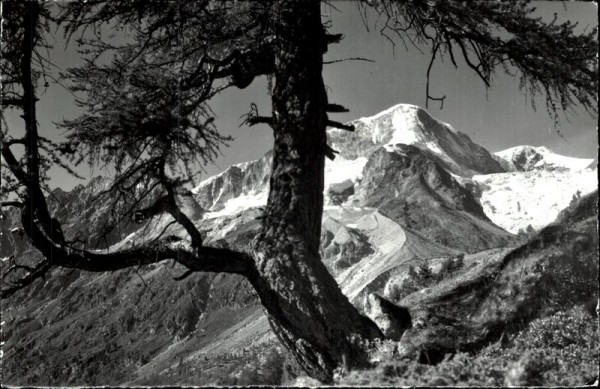 Arolla Vorderseite